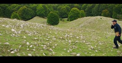 创下票房奇迹的超级大片,创造票房奇迹电影