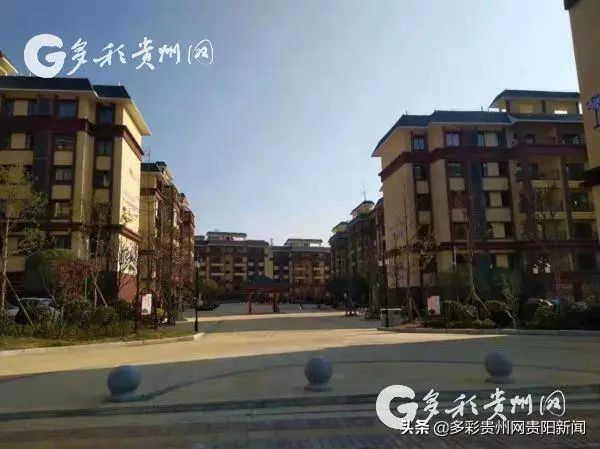 紫云自治县脱贫攻坚,省体育局多措并举助力脱贫攻坚