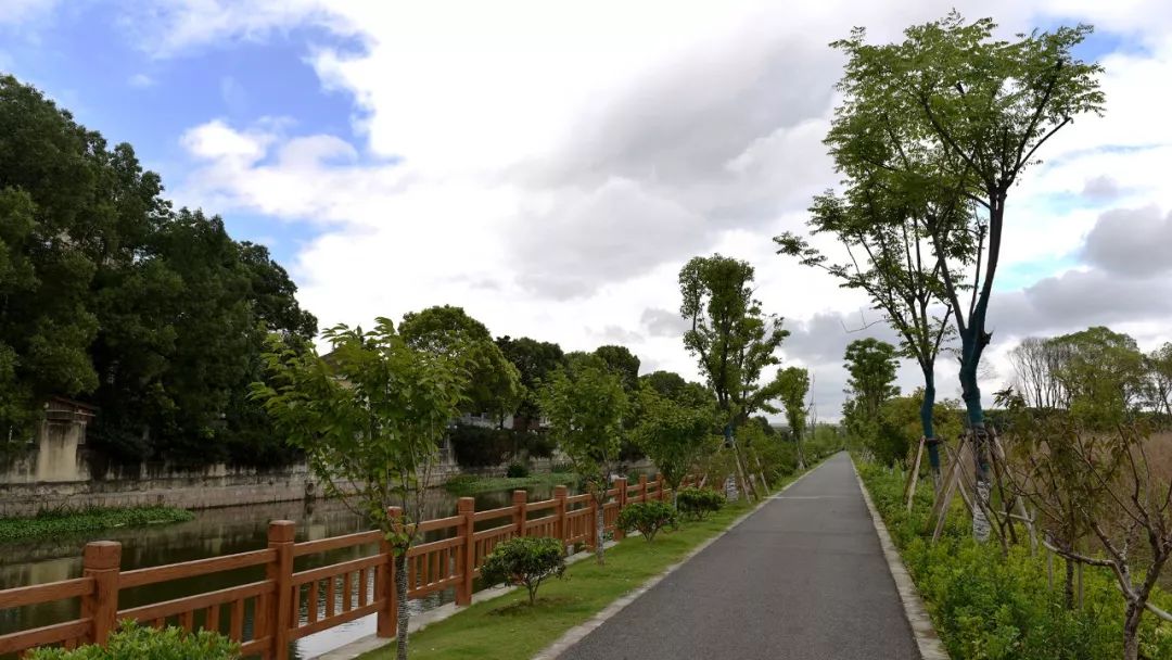 【图说】徐泾水环境“成绩单”出炉,一组图片眼见为实