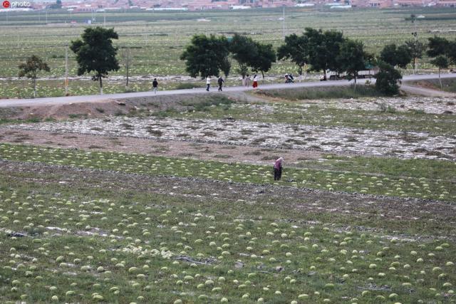瀹佸瑗跨摐浠婂勾鐘跺喌,鐢樿們瑗跨摐婊為攢鐜扮姸