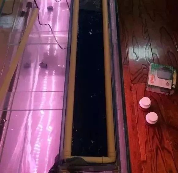 罗汉鱼开缸全过程,罗汉缸需要多少钱