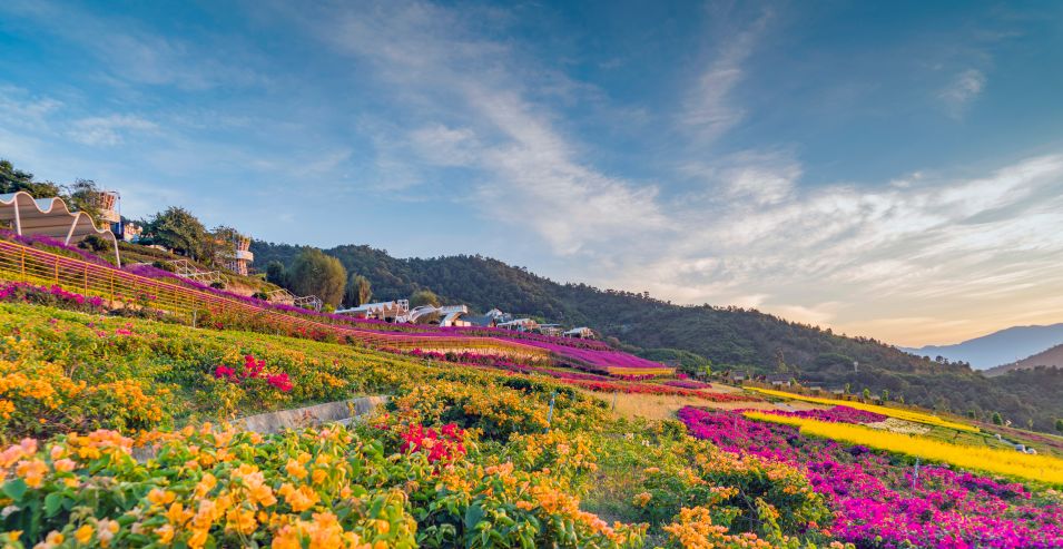天府新区文创板块,天府文旅板块是不是天府文创城