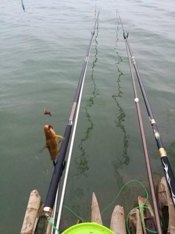 手持太极战蟹将擒得大鲤披月归