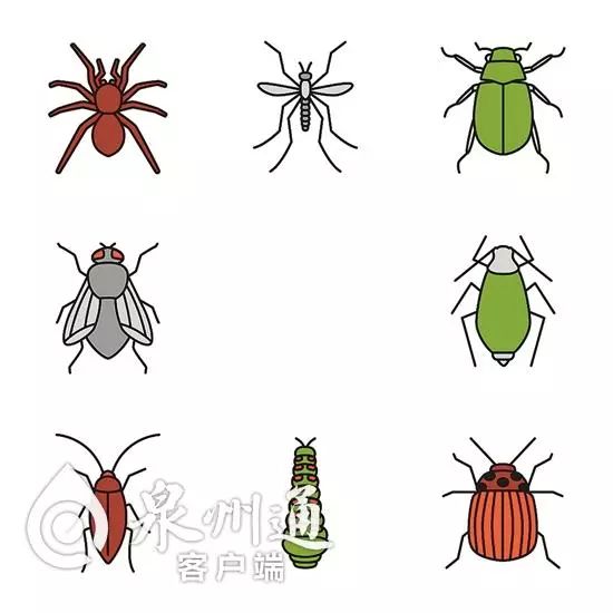 最近被抓的毒虫,警惕这种虫有人被咬后差点没命