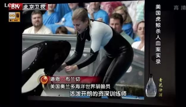 丧心病狂！每帧画面都在捅刀子，多少人忽视了这些人间惨剧…