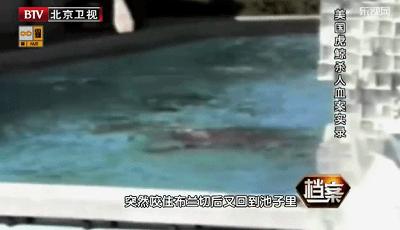 丧心病狂！每帧画面都在捅刀子，多少人忽视了这些人间惨剧…