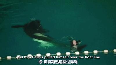 丧心病狂！每帧画面都在捅刀子，多少人忽视了这些人间惨剧…