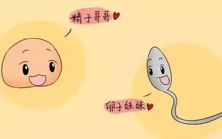 吃了紧急避孕药后的娃能要吗,吃紧急避孕药来姨妈了还会怀孕吗