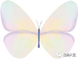 喵夫人毛线官网,喵夫人毛线店