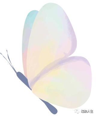 喵夫人品牌线,喵夫人服装工厂