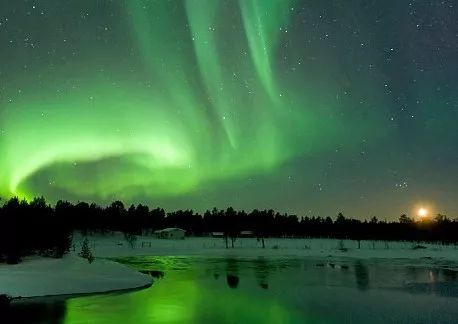 遛狗师一年的工资,遛狗师可以月入过万