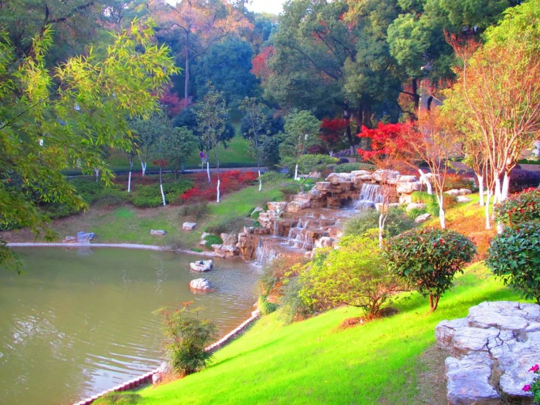 芜湖十大宾馆排名,芜湖鸠江区哪里有便宜的宾馆
