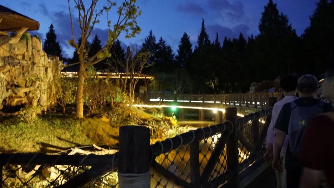 魔都顶级夜场,魔都每周热门夜店活动推荐