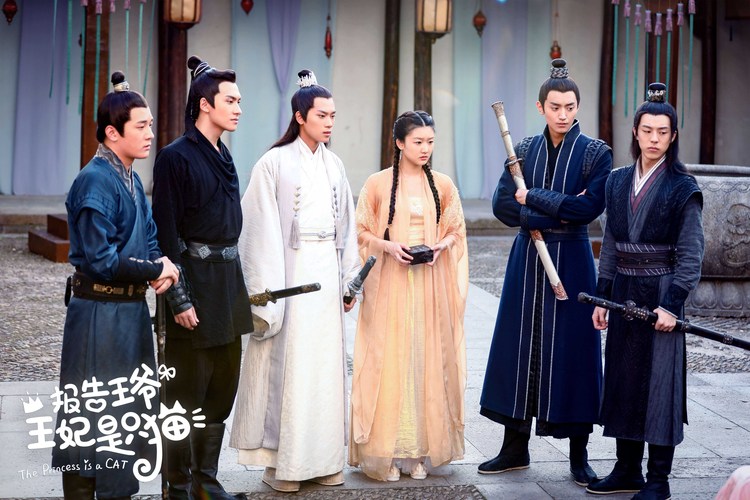 《报告王爷，王妃是只猫》杀青，袁雨萱张炯敏首秀荧屏初吻