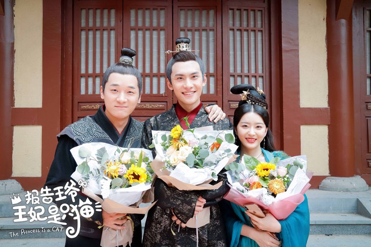 《报告王爷，王妃是只猫》杀青，袁雨萱张炯敏首秀荧屏初吻