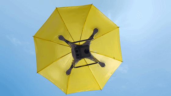 雪碧要喝凉的,雪碧冻久了变味