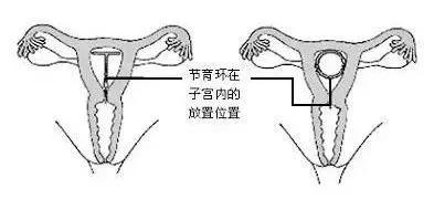 中国被遗忘的女性,被历史遗忘的中国女性