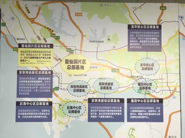 你为什么错过深圳湾,错过深圳