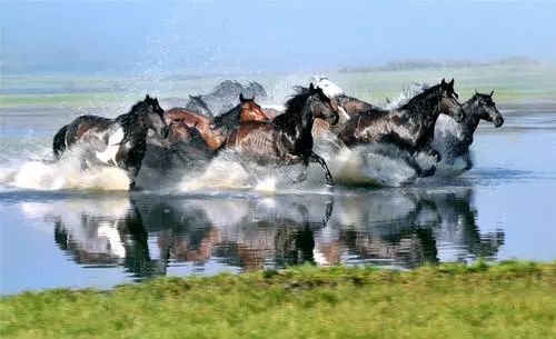 科尔沁传奇,科尔沁大草原的传奇