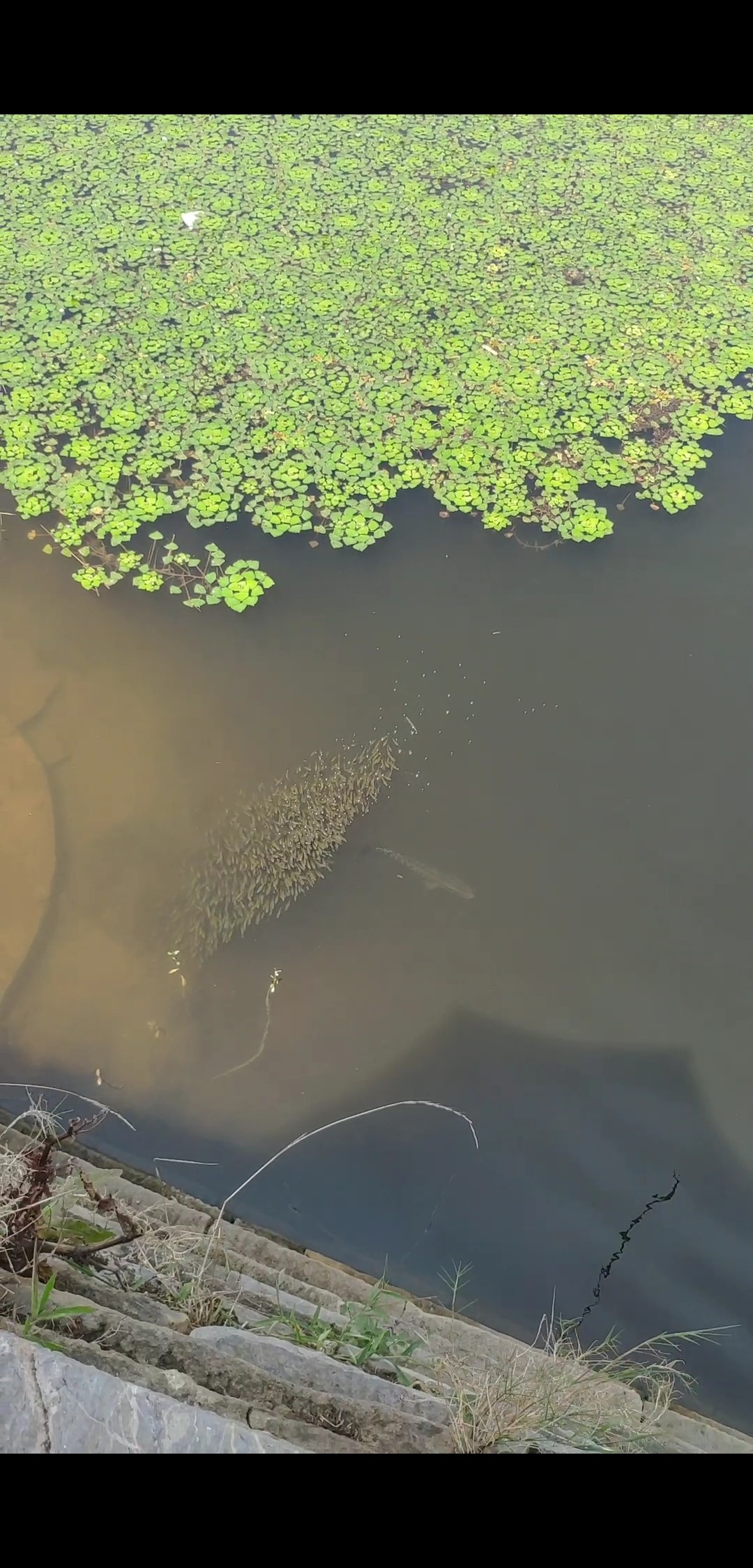 路亚轮怎么清洗,路亚轮拆装保养视频