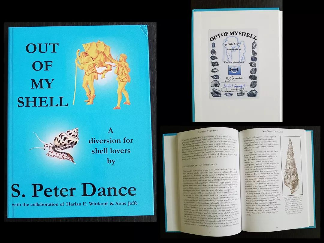 周末这样过总是嫌吃不够怎么办,周末总是过得很颓废