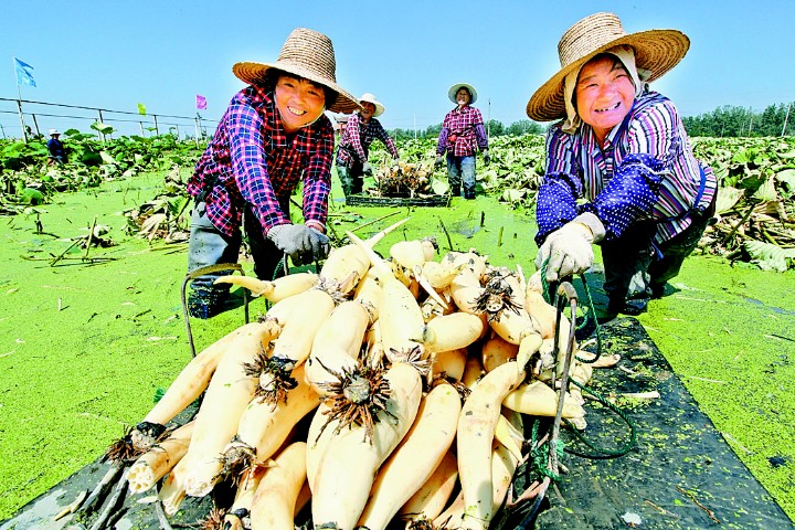 当涂县百强县,中国百强县第一名当涂县