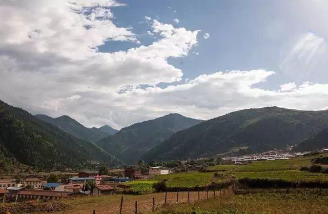 获奖作品写作方法点评,之六|四川日报获中国新闻奖一等奖消息：《629户人的藏乡走出359名大学生》