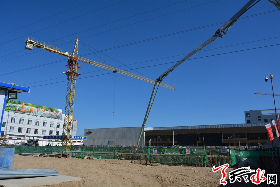 天水兆达核桃巧克力项目建设见闻