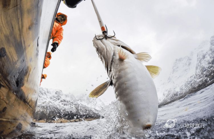 北极圈内的这个冷冽孤独秘境，一到冬天就成为欧洲摄影师的心头肉，国际地理封面就靠你了