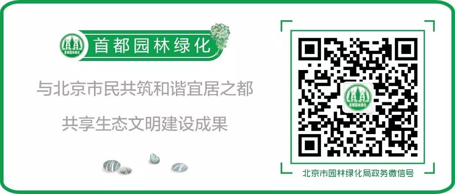 科普植物的用处,科普植物活动