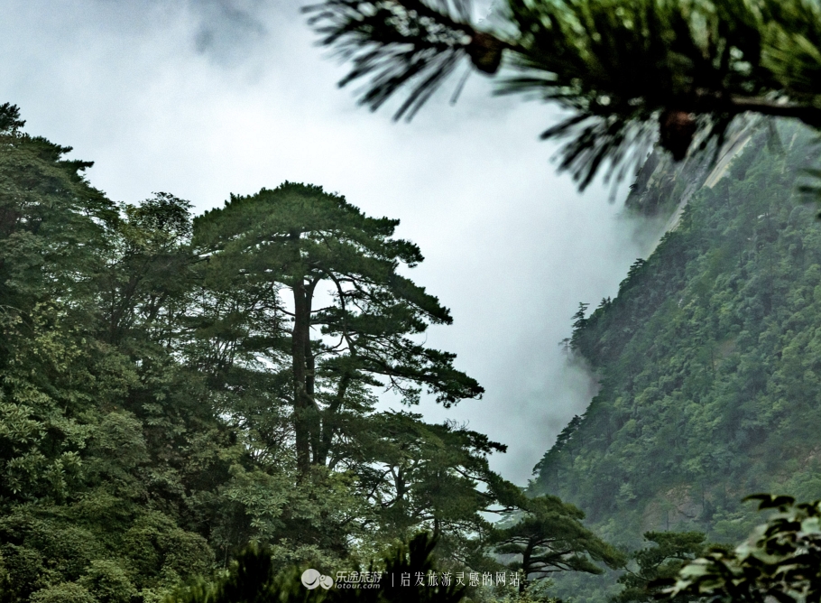 黄山为什么烟雾缭绕,黄山禁烟严不严