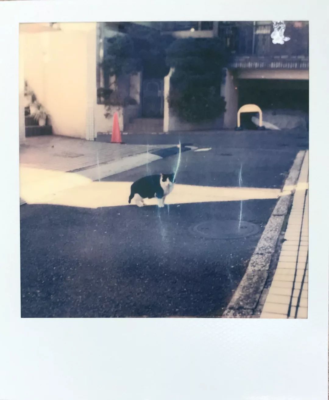 为什么买手店会成为主流,为什么要有买手店