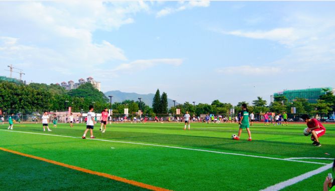 惠东总冠军,惠东冠军