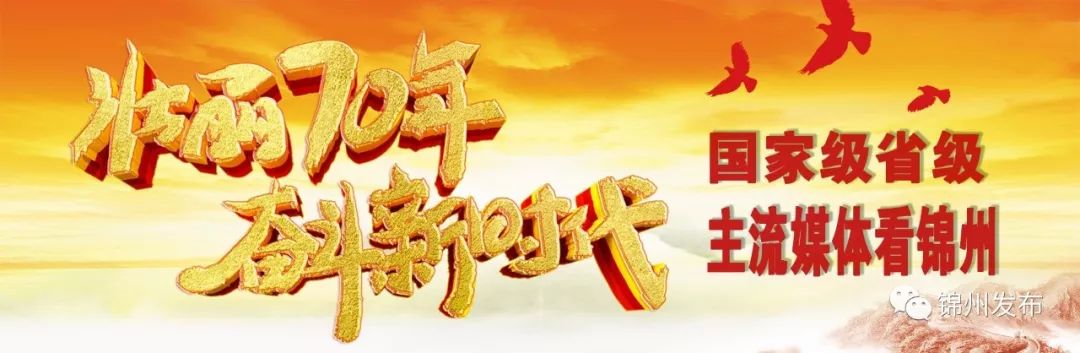 壮丽70年奋斗新时代微视频,壮丽70年奋斗新时代图文