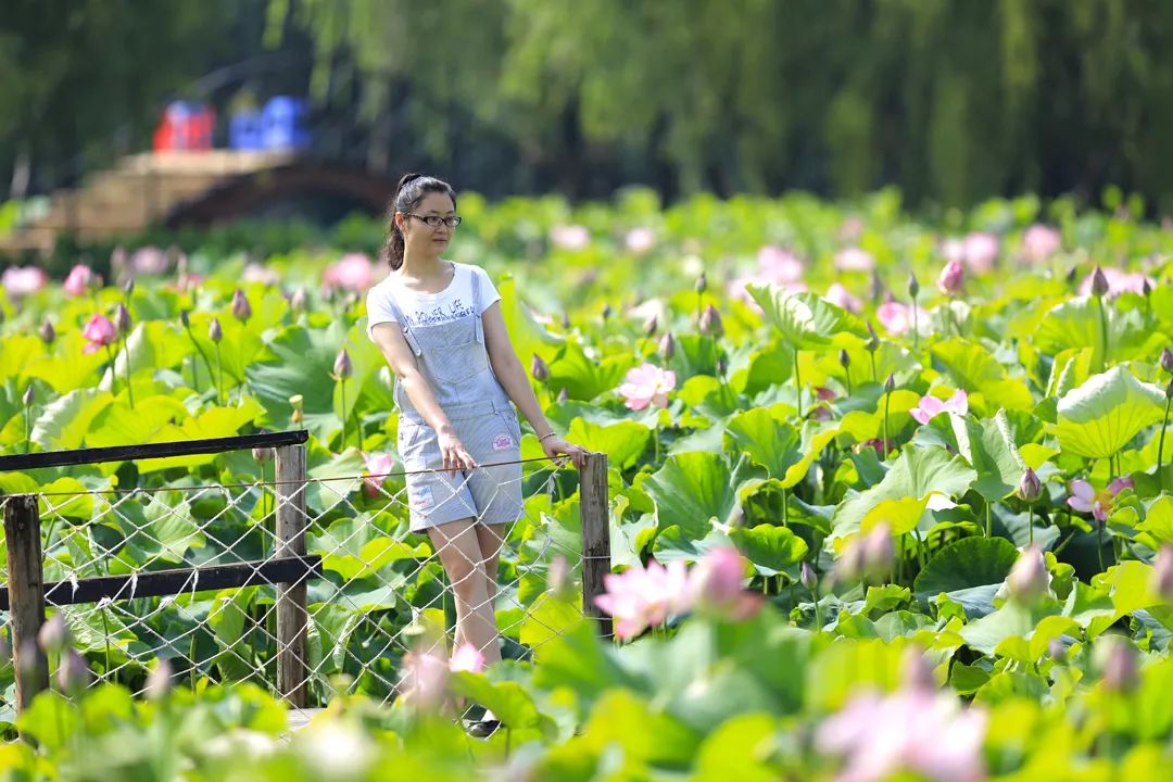 春城秀风光,春城秀昆明一座有温度的城市