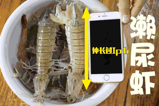 香港tvb经典打卡,香港湛江海鲜