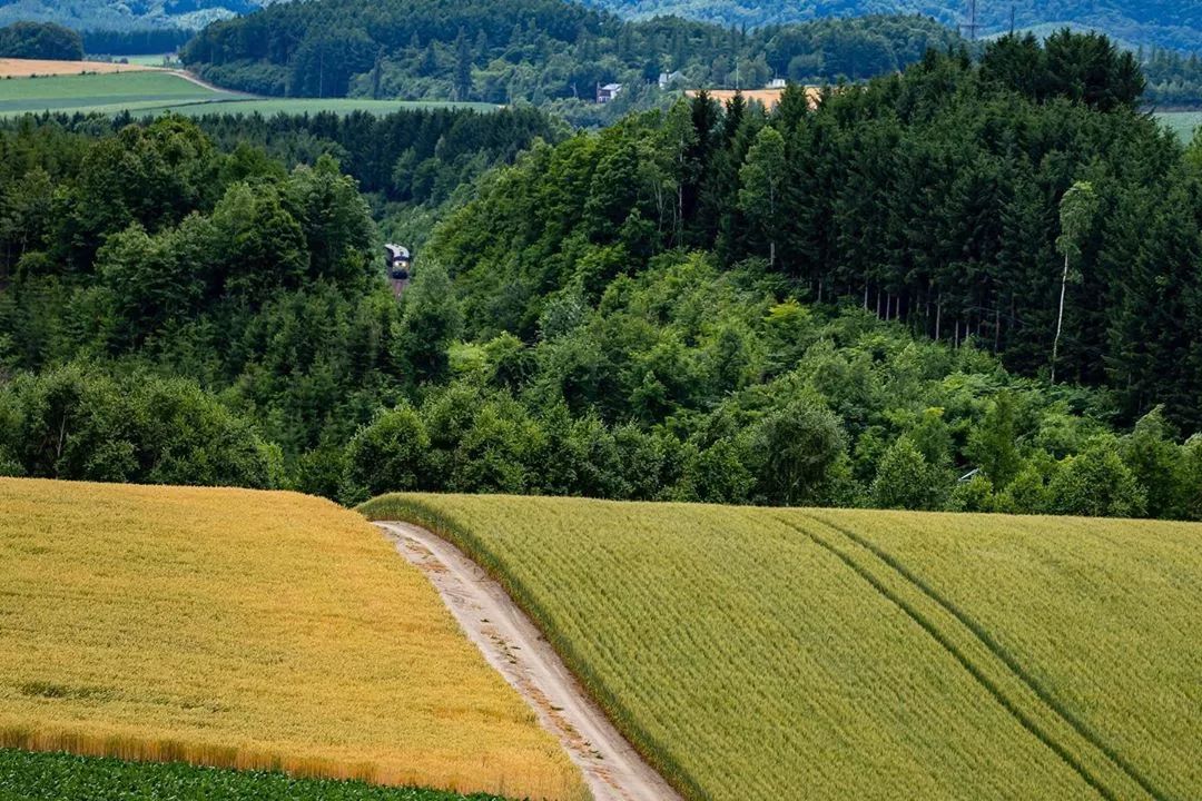 日本10条最好看电车线路,日本特急电车