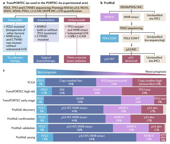 一文汇总|子宫内膜癌的分子分型及相关研究进展