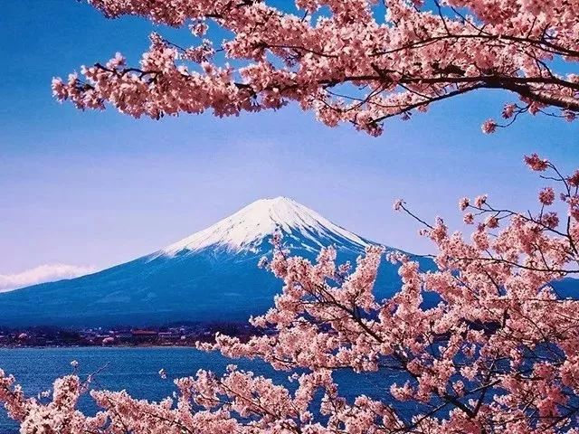 谁拍谁丑特效,谁拍谁丑道具