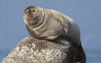 经常打嗝注意什么癌,经常打嗝可能是哪些病的前兆