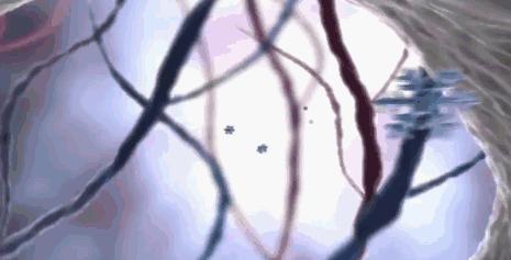 美白牙膏一刷就好,美白黄牙烟渍最好的牙膏