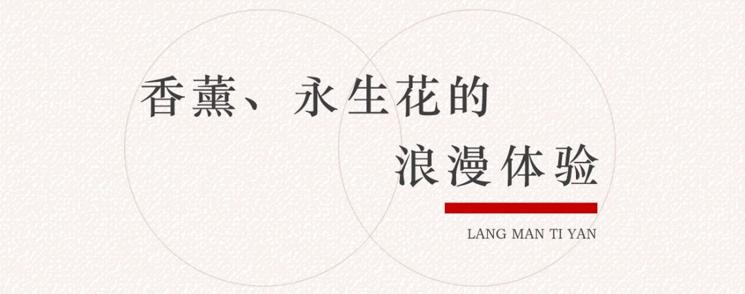 省钱攻略！爆红妆品，VIP礼遇，限时三天，折扣到底