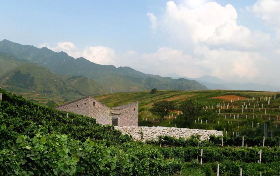 爱豆的父母都叫他们什么名字,爱豆的爸爸妈妈