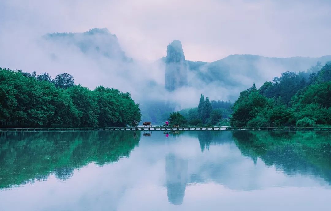 谁说江南无金秋？这座高铁直达的小县城靠一间仙气民宿，就撩到了无数隐居客