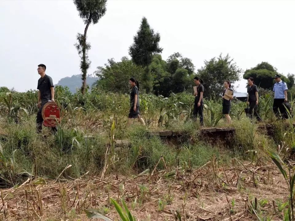 基层法院有多忙,乡镇法庭的法官累不累