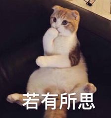 特别专题|比高考语文阅读还难理解的基金会项目信息