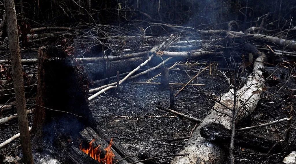 每天3分钟尽览天下事（重要提醒：今天郑州尾号1和6的车辆限行/明晚，《开学第一课》开讲，你期待么？/香港开抓“港独”分子）