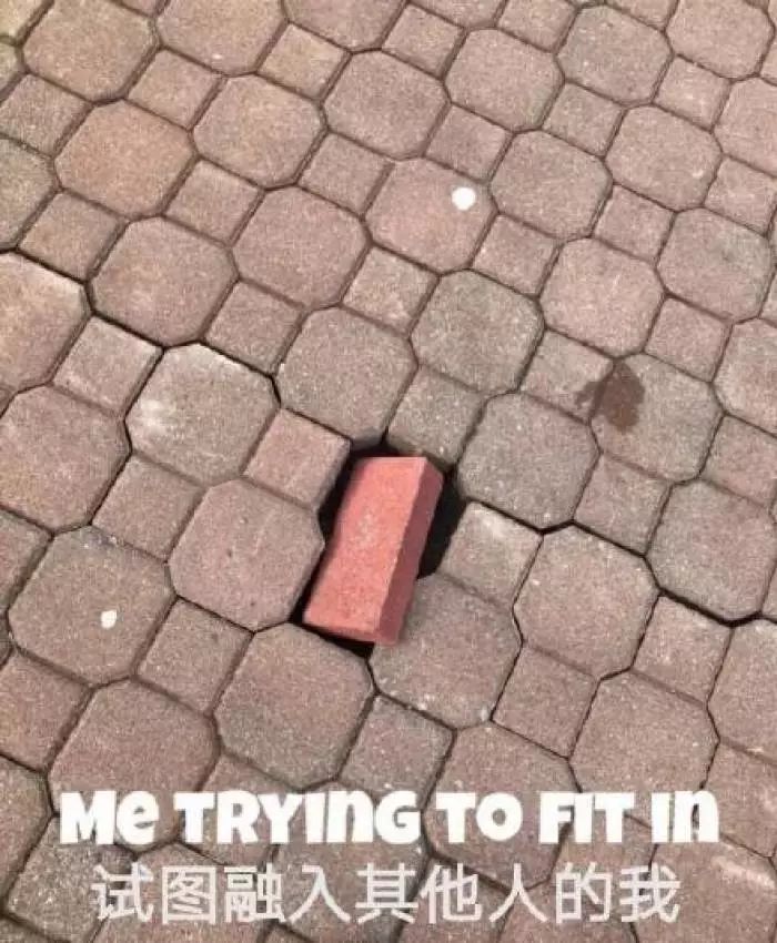 95后老师和70后家长,95后女教师与70后家长尬聊