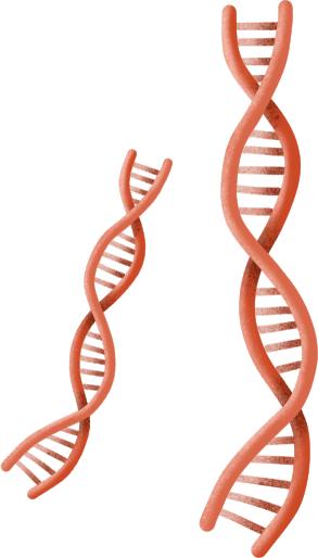 「直通校园」他们眼中的母校教师，怎一个“赞”字得了！——杏花岭小学