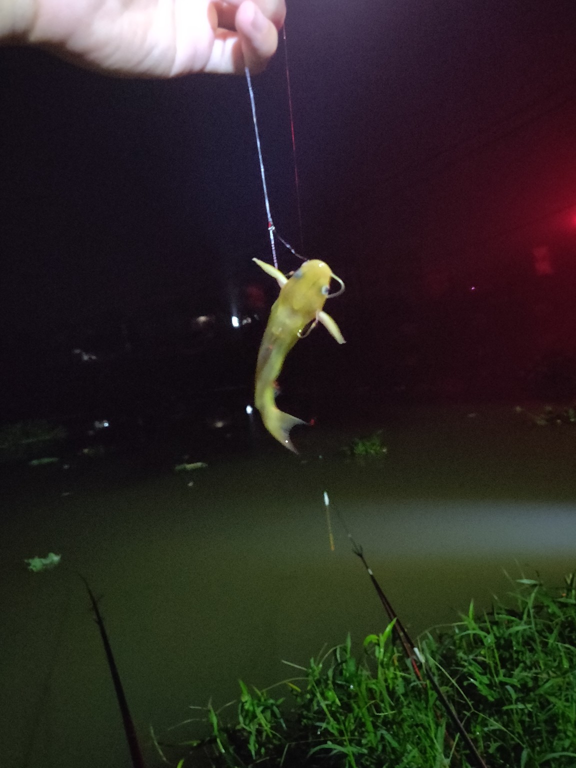 水情不稳定如何钓鱼,水情不明钓鱼必须每次都调漂吗